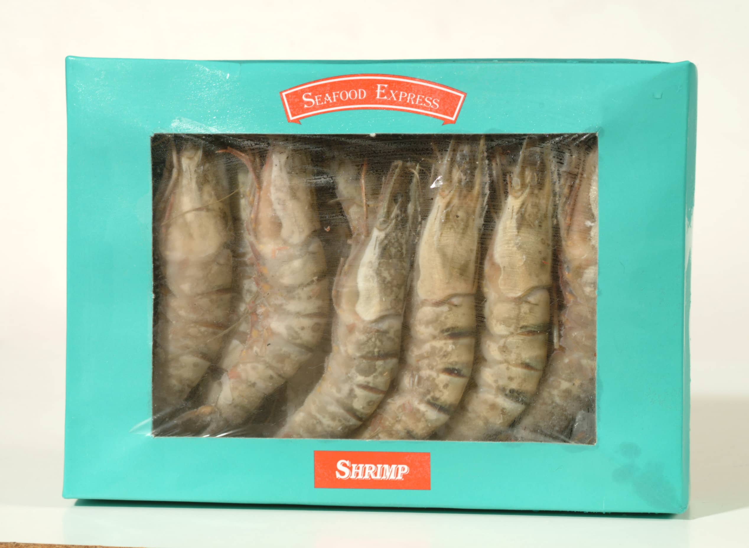 جمبري النمر الاسود الكبير ذو 16-20 رأس